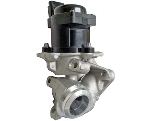 6NU010171-091 Hella Клапан рециркуляции выхлопных газов 6NU010171-091 Hella Клапан рециркуляции выхлопных газов