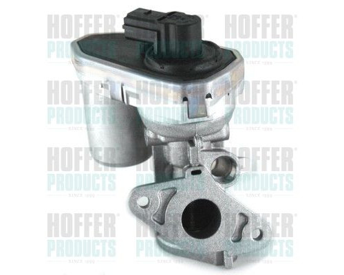 7518137 Hoffer Клапан рециркуляции выхлопных газов 7518137 Hoffer Клапан рециркуляции выхлопных газов