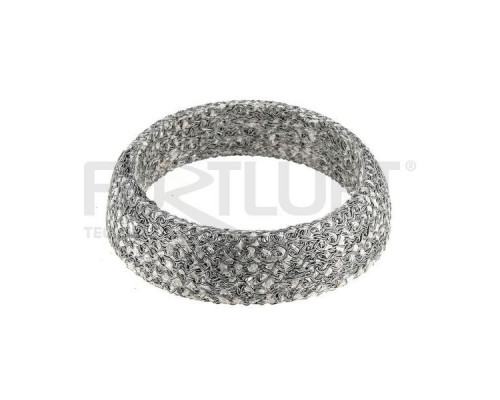 256304 FortLuft Кольцо глушителя 256304 FortLuft Кольцо глушителя