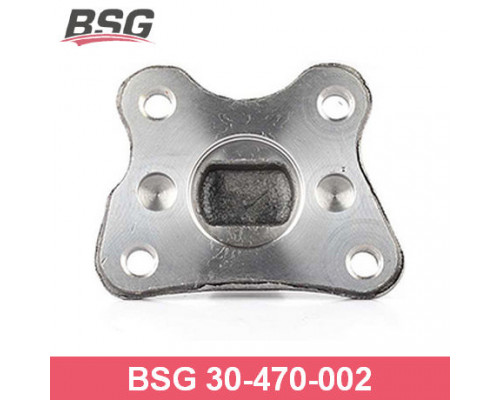 BSG30-470-002 BSG Auto Parts (BASBUG) Цапфа левая