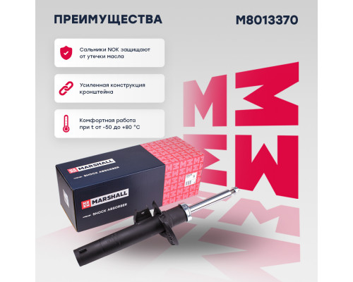 Амортизатор газ. передн. Skoda Kodiaq 17-; VW Tiguan 16- (M8013370)