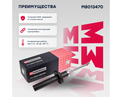 Амортизатор газ. передн. Audi A6 10-, A7 10-, S6 10-, S7 12- (M8013470) Амортизатор газ. передн. Audi A6 10-, A7 10-, S6 10-, S7 12- (M8013470)