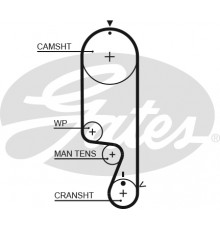 5535XS Gates Ремень ГРМ