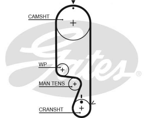 5535XS Gates Ремень ГРМ