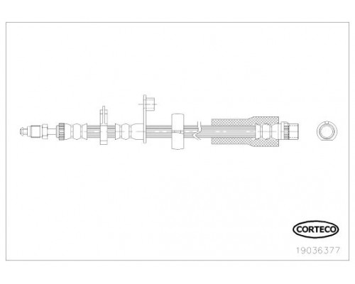 19036377 Corteco Шланг тормозной