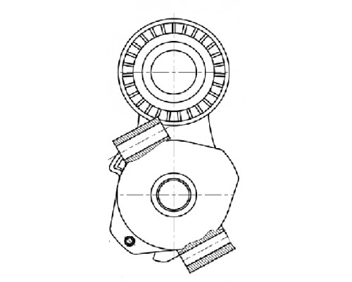 CM5434 Trialli Натяжитель ремня