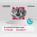 Тормозной диск задн. (с подшип. и кольц. ABS) Citroen C4 II 09-; Peugeot 308 I 07- (M2000666)
