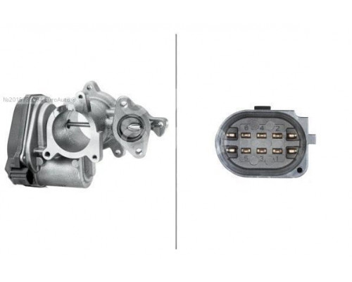 6NU010171-291 Hella Клапан рециркуляции выхлопных газов