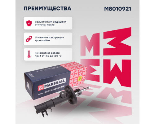 Амортизатор газ. передн. лев. Chevrolet Aveo II 11- (M8010921) Амортизатор газ. передн. лев. Chevrolet Aveo II 11- (M8010921)
