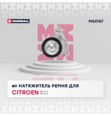 Натяжитель ремня CITROEN C3 02-, C4 04-; PEUGEOT 207 06-, 307 01-, 308 07-