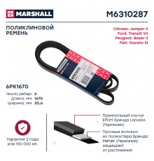 Ремень поликлиновой 6PK1670 Citroen Jumper II 06-; Fiat Ducato III 06-; Peugeot Boxer II 06- (M6310287)
