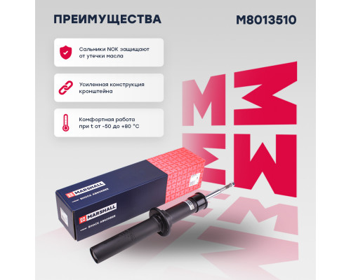 Амортизатор газ. передн. BMW X5 (E70) 06-, X6 (E71) 07- (M8013510)