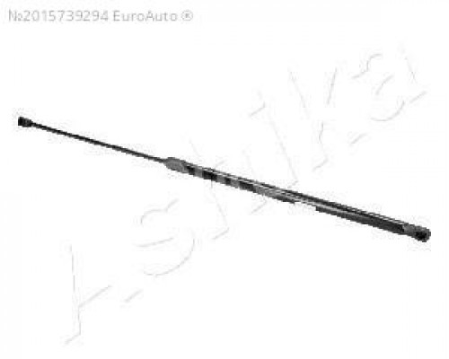 ZSA09189 Ashika Амортизатор капота