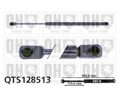 QTS128513 QH Амортизатор двери багажника для Ford Focus I 1998-2005