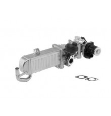 710861D Wahler Радиатор системы EGR