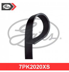 7PK2020XS Gates Ремень ручейковый