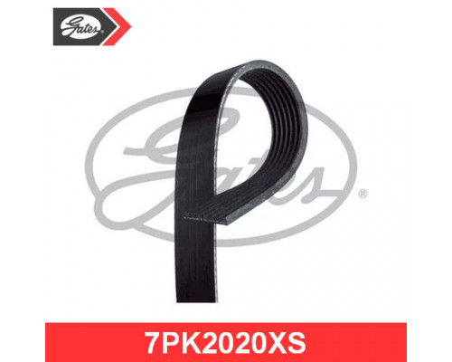 7PK2020XS Gates Ремень ручейковый