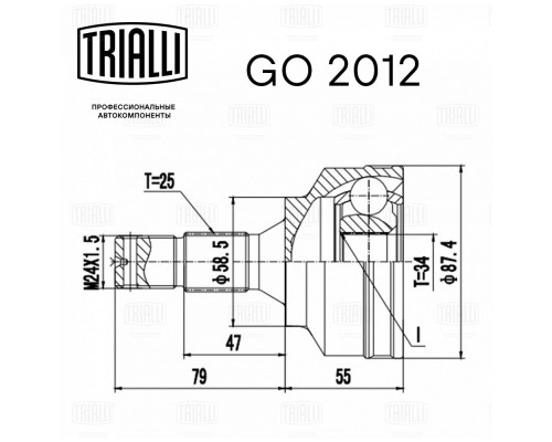 GO2012 Trialli ШРУС наружный передний