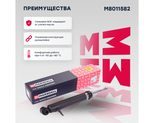 Амортизатор газ. задн. прав. BMW X5 (E70) 06-, X6 (E71) 07- (M8011582) Амортизатор газ. задн. прав. BMW X5 (E70) 06-, X6 (E71) 07- (M8011582)