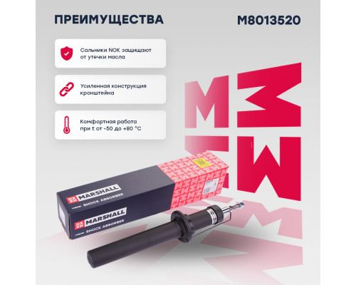 Амортизатор газ. передн. BMW X5 (F15) 13-, X6 (F16) 14- (M8013520)