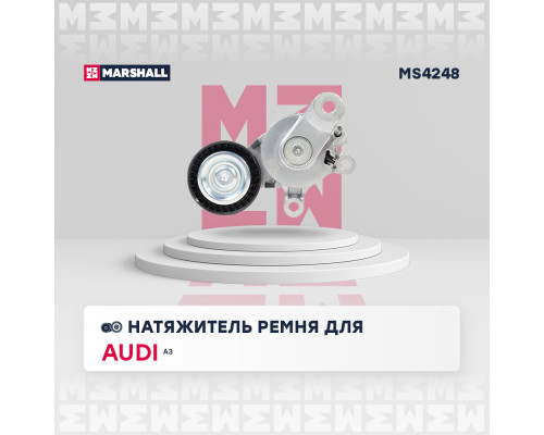 Натяжитель прив. ремня Skoda Fabia II 06- / Octavia (A5) 04- / Rapid 12-; VW Polo Sedan 10- / Tiguan I 07-(MS4248) Натяжитель прив. ремня Skoda Fabia II 06- / Octavia (A5) 04- / Rapid 12-; VW Polo Sedan 10- / Tiguan I 07-(MS4248)