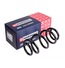 Пружина подвески передн. Audi A4 08-, A5 07-, A6 10-, A7 Sportback 10- (M8031030)