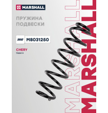Пружина подвески задняя CHERY TIGGO 8 18-, TIGGO 8 PRO 21-