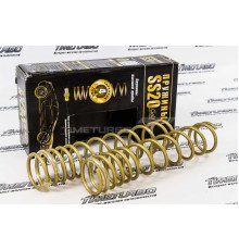 Пружины задней подвески SS20 Gold Progressive холодной навивки, с переменным шагом для ВАЗ 2110, 2112, Лада Приора