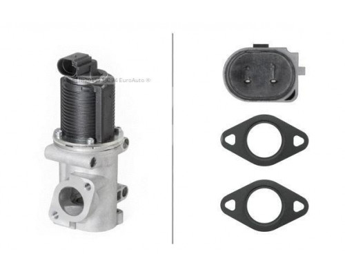 6NU010171-541 Hella Клапан рециркуляции выхлопных газов 6NU010171-541 Hella Клапан рециркуляции выхлопных газов