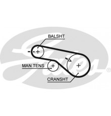5570XS Gates Ремень балансирного вала