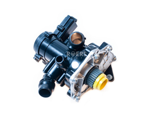 RP06L121111H Roers-Parts Насос водяной (помпа)