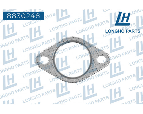 8830248 Longho Прокладка глушителя