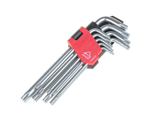 R1061030 ARNEZI Набор ключей TORX