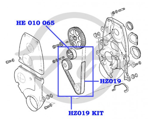 HZ019KIT Globelt Ремень ГРМ к-кт