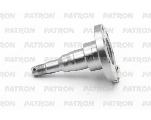 PBK4566H Patron Цапфа (п.з.к.)