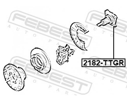 2182-TTGR FEBEST Цапфа (п.з.к.)