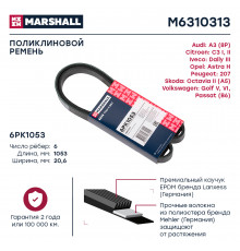 Ремень поликлиновой 6PK1053 Iveco Daily III 97-; Opel Astra H 04-; Skoda Octavia II (A5) 04- (M6310313)