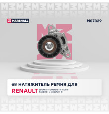 Натяжитель ремня RENAULT LOGAN 04-, MEGANE 95-, SANDERO 07-, SYMBOL 99-