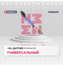 Датчик кислорода (Лямбда-зонд) FORD EXPLORER 10-, F-150 08-, FOCUS 11-