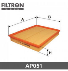 AP051 Filtron Фильтр воздушный