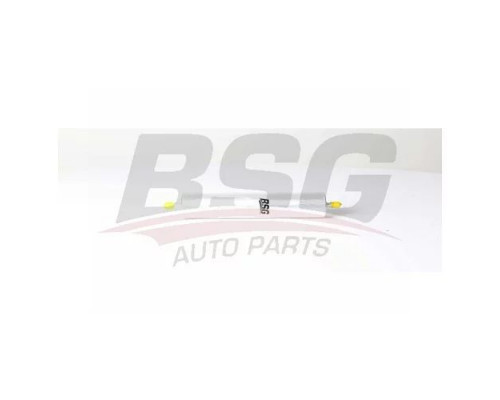 BSG90-130-028 BSG Auto Parts (BASBUG) Фильтр топливный