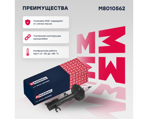 Амортизатор газ. передн. прав. Chevrolet Aveo I 02 (M8010562) Амортизатор газ. передн. прав. Chevrolet Aveo I 02 (M8010562)