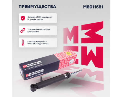 Амортизатор газ. задн. лев. BMW X5 (E70) 06-, X6 (E71) 07- (M8011581) Амортизатор газ. задн. лев. BMW X5 (E70) 06-, X6 (E71) 07- (M8011581)