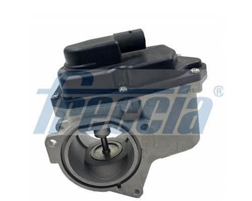EGR12-123 Freccia Клапан рециркуляции выхлопных газов EGR12-123 Freccia Клапан рециркуляции выхлопных газов
