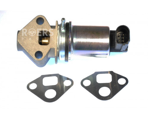 RP06A131501N Roers-Parts Клапан рециркуляции выхлопных газов RP06A131501N Roers-Parts Клапан рециркуляции выхлопных газов