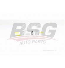 BSG90-130-019 BSG Auto Parts (BASBUG) Фильтр топливный