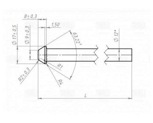 EMB0108 Trialli Кронштейн глушителя