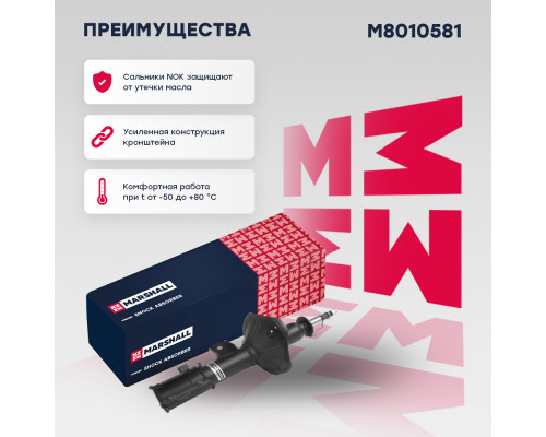 Амортизатор газ. передн. лев. Hyundai Getz 02- (M8010581) Амортизатор газ. передн. лев. Hyundai Getz 02- (M8010581)