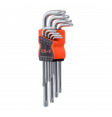 Набор ключей TORX с отверстием, 9 предметов,  T10; T15; T20; T25; T27; T30; T40; T45; T50