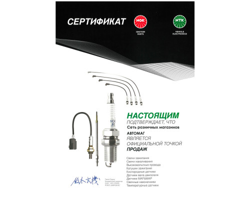 Свеча зажигания NGK IFR5E13(6903)